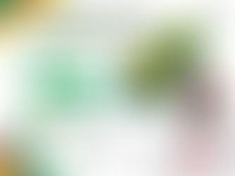 Pacte écologique camerounais : le président Éric Nguéguim du PEC convie le 18 septembre 2025 à Yaoundé les leaders politiques pour un engagement qui fera date dans l'histoire de notre pays.