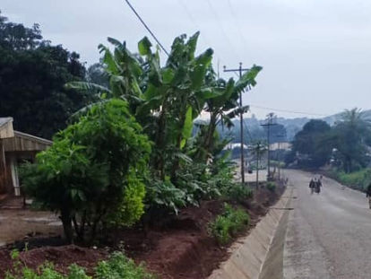 Aménagement du bassin de production de l’Ouest : l’entreprise Razel se remobilise progressivement et entame les travaux d’assainissement de la voirie de Kouoptamo