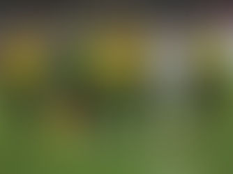 FOOTBALL : Les Lions indomptables du Cameroun conservent la première place du groupe J après leur victoire (4-1), contre le Kenya.