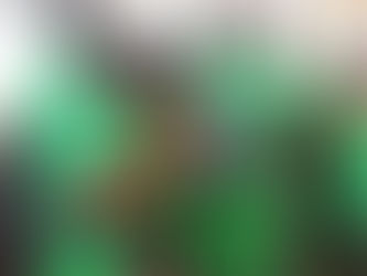 CAN MAROC 2025 : 04 équipes réparties en 12 groupes se battent pour décrocher les deux premières places de leurs groupes.