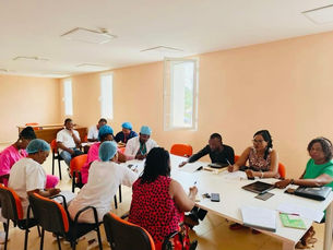 Élaboration du Manuel de Procédures Administratives du MINSANTE : Les équipes de collecte à pied d'œuvre