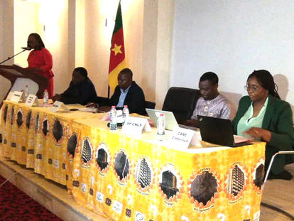 Enquête nationale sur l'indice de la stigmatisation chez les personnes vivant avec le VIH au Cameroun : Stigma Index 2.0