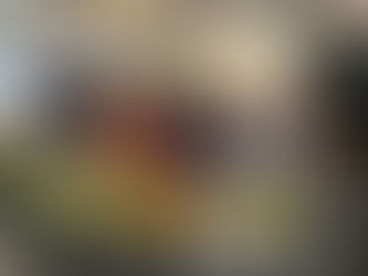 Règlement Sanitaire International, Evaluation du cadre juridique national