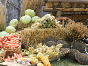 SAFER 2024 en Guinée équatoriale