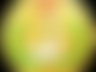 ACTION ET SITUATION DES DROITS DE L’HOMME AU CAMEROUN