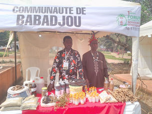 Entretien avec le président de la coopération « Magamto-Coop-CA »  Francis Dekou sis au quartier King place de Babadjou.