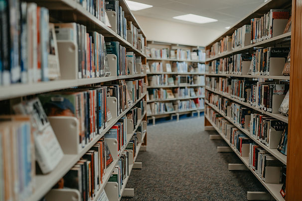 Shelves of books