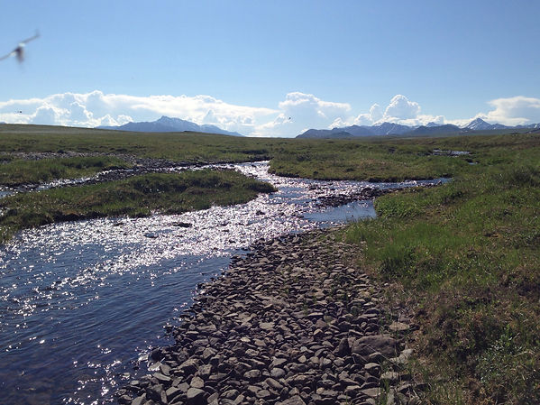 AK_Stream_2014 copy.jpg