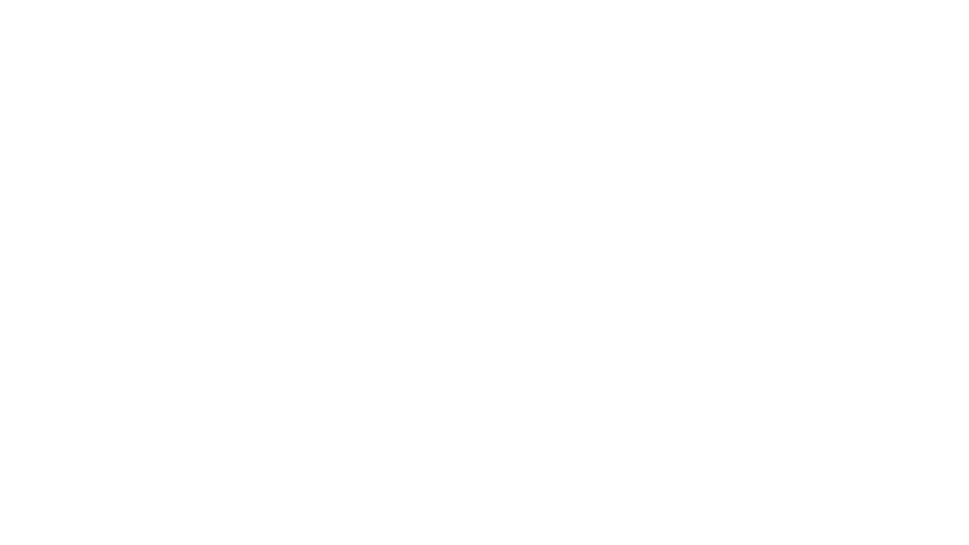 Dog Boarding, Daycare, & More Play Dog Play Burlington, VT