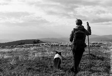 EXPOSITION BERGER SUR LES HAUTES CHAUMES
