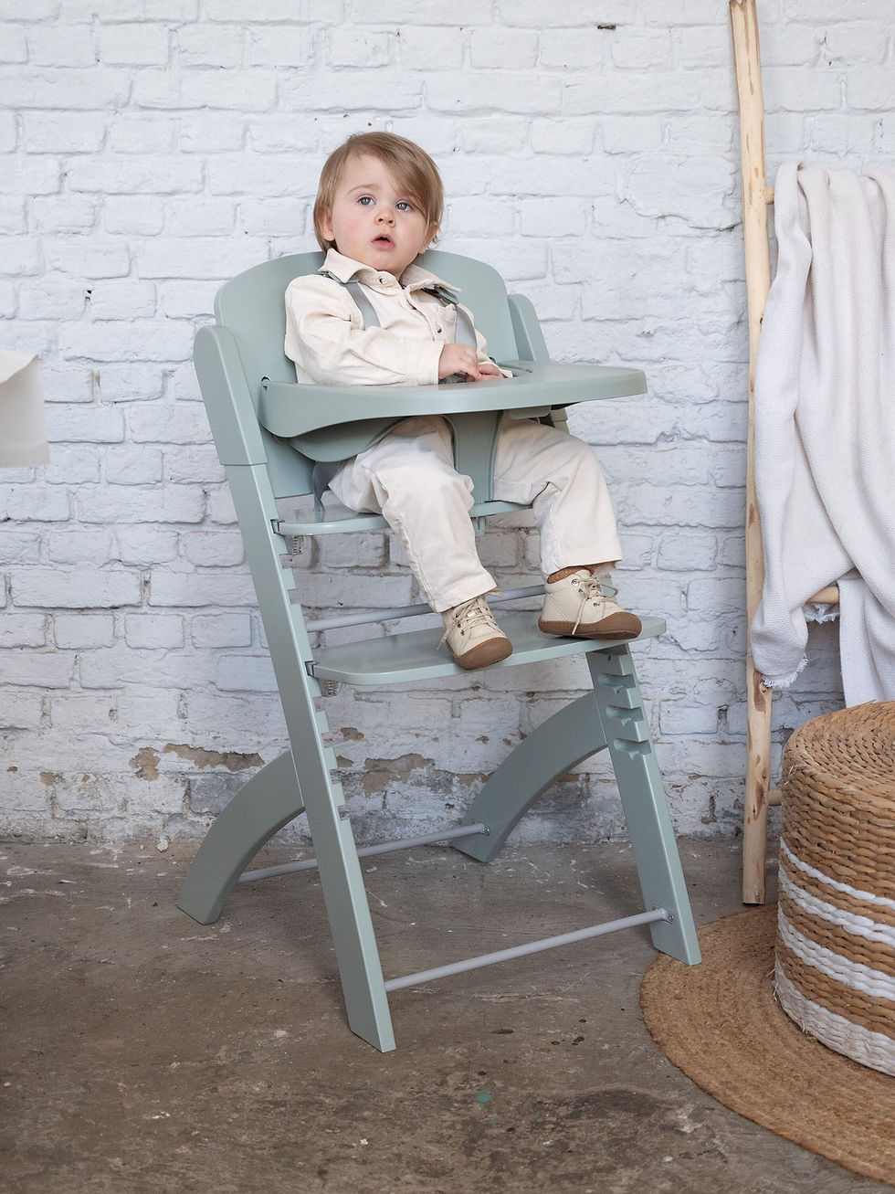 Thumbnail: Childhome Evosit Highchair Mint