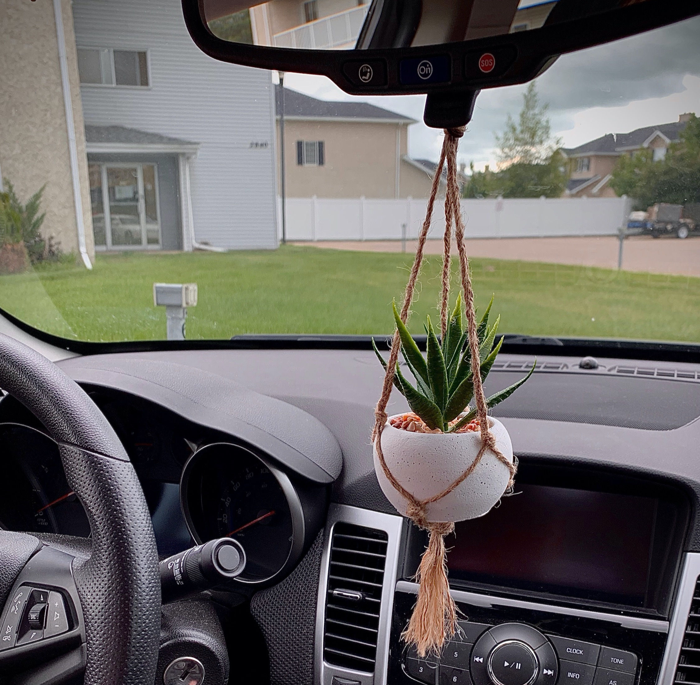 Hanging Tiny Plant