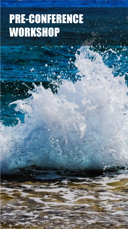 Pre-Conference Workshop