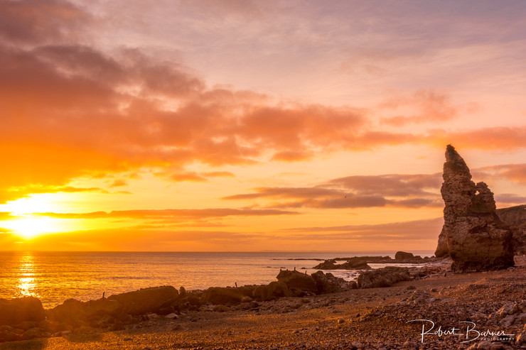 Robert Barnes Photography©