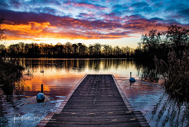 Robert Barnes Photography©