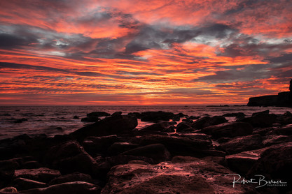 Robert Barnes Photography©