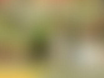 Vitória em Tapejara