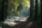 L'esprit nature