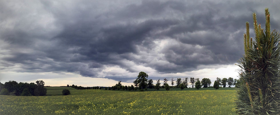 IMG_2269-PANO.jpg