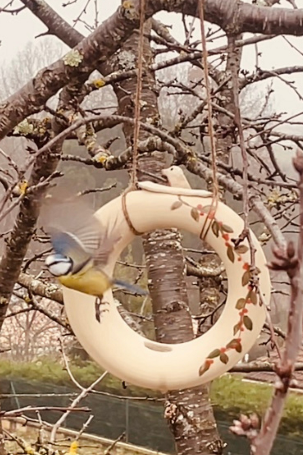 Miniature : Mangeoire à oiseaux donut