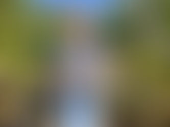 Inside Switzerland’s Most Luxurious Wine Cellars