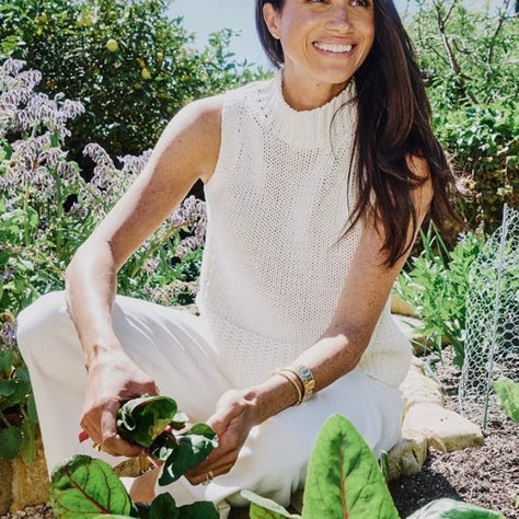 From Visibility to Intimacy: Meghan Markle and the Rise of the Domestic Aesthetic