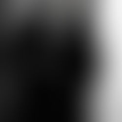 The Shadow Strays: Aurora Ribero Shines in Netflix’s Hit as a Multifaceted Star on the Rise