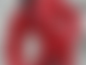 Nicolas Besson is a French couturier who embodies elegance, craftsmanship, and a deep connection to the architectural beauty of fashion.