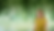 AMM_Screendesign_Home_Header.png