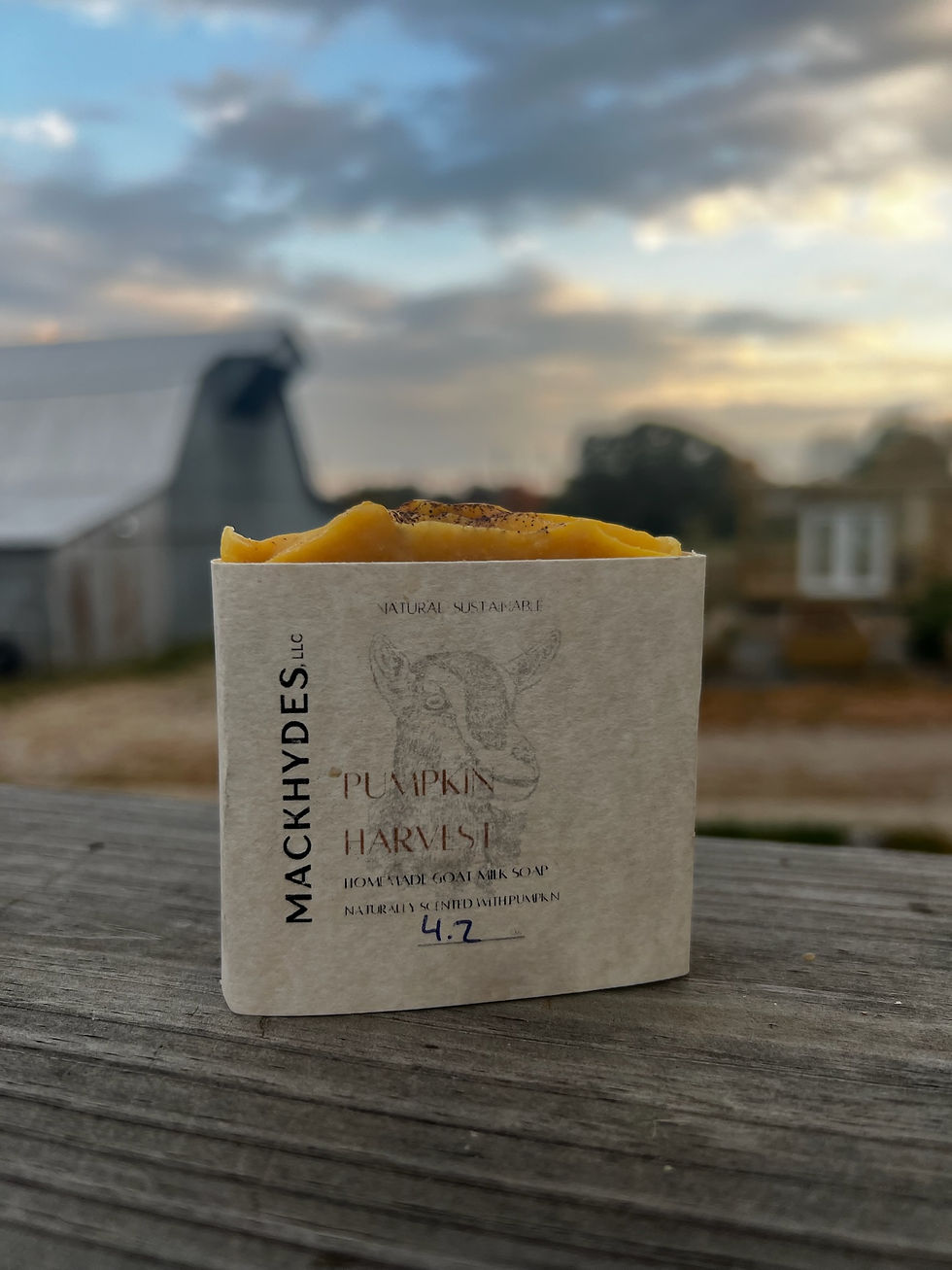 Thumbnail: Pumpkin Harvest Soap Bar