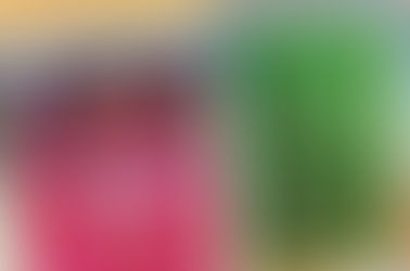 Private Label Tea 101 – Overview