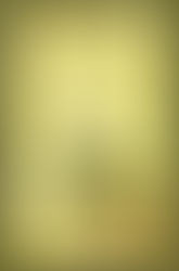 What does Madonna and Matcha Tiramisu have in common?