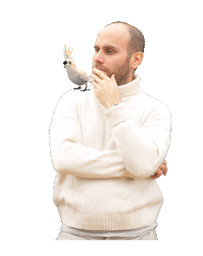 ציפור.gif