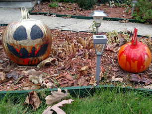 Happy Halloween! It's time for Pumpkin Beer Reviews.