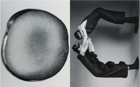 Kelly Jacob Photographer Fashion Advertising Editorial Still Life