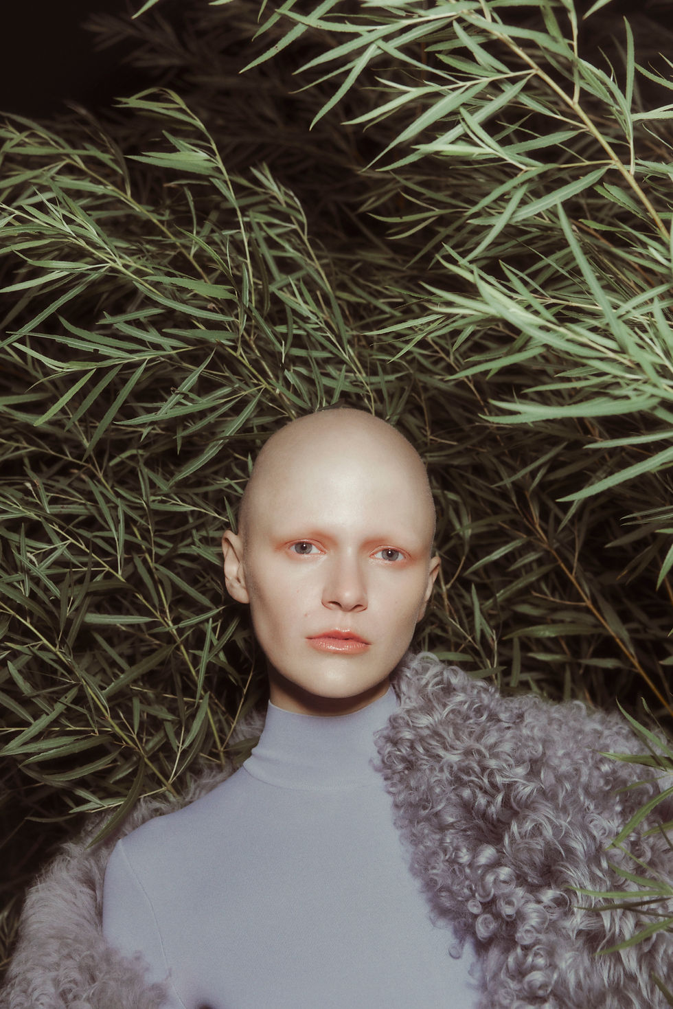 Kelly Jacob Photographe
