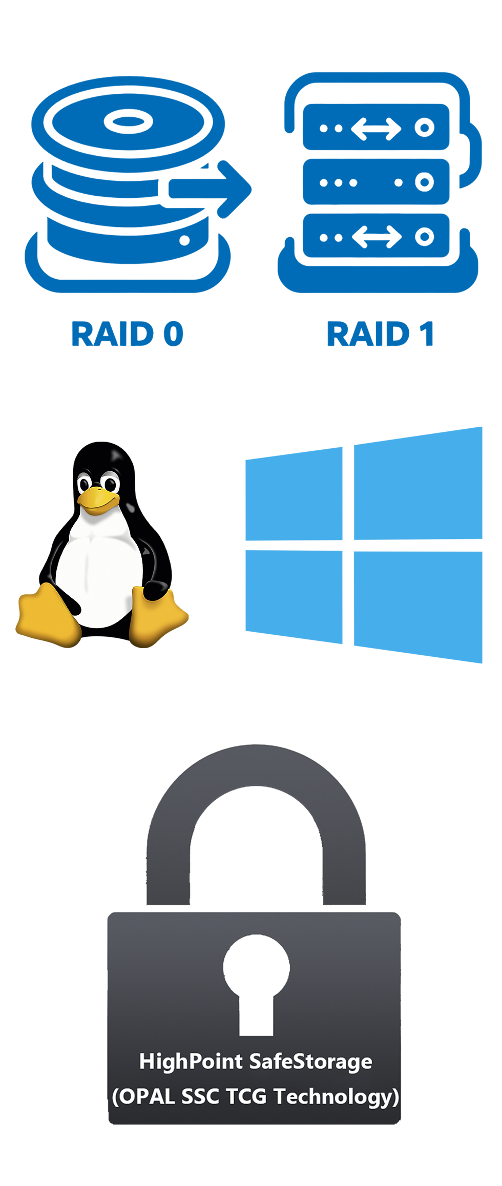 RAID_long.png