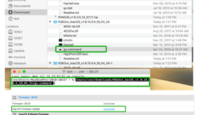 Driver cannot load after updating macOS