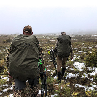 hunt the elk not the weather