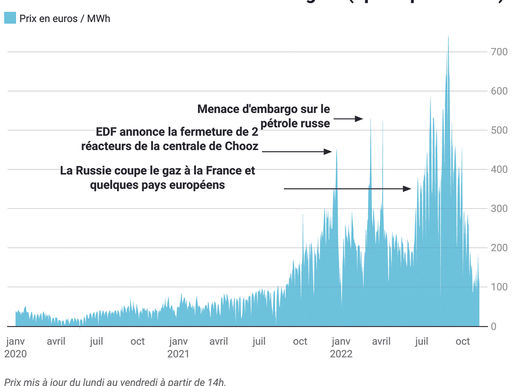 Bouclier et amortisseur tarifaire