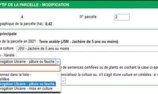 Dispositions particulières pour les jachères 2022