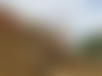 Du 9 au 12 mai : le Charolais ! 