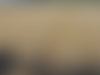 Des rendements corrects !