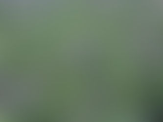 Jachère : que faire ?