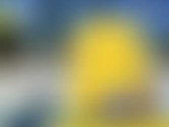 Carte Moisson 2023 : un nouveau partenaire pour l'été !