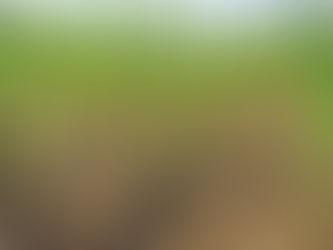 Une réforme de gestion des risques indispensable pour la pérennité des exploitations