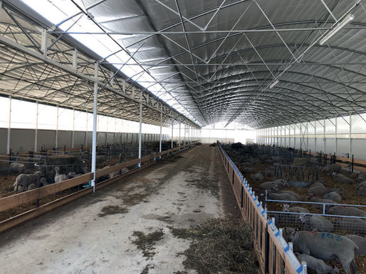 Faites entrer la lumière !