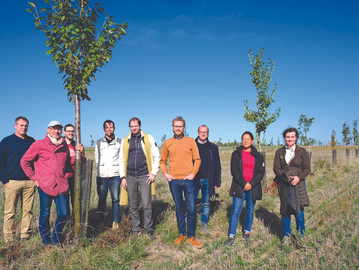 L’agroforesterie au service de la biodiversité