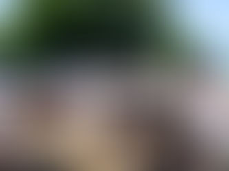 Comice agricole de Sévigny-la-Forêt 2025