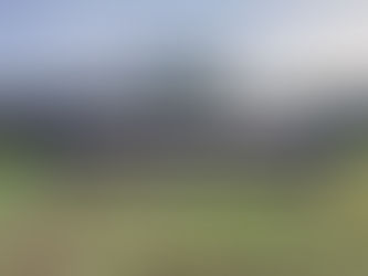 L'ARA à l'épreuve du terrain